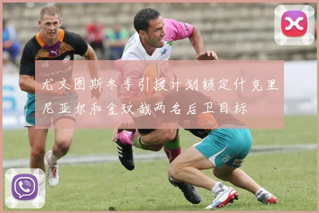 尤文图斯冬季引援计划锁定什克里尼亚尔和金玟哉两名后卫目标